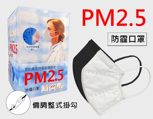 PM2.5 Anti-Haze Mask – Adult