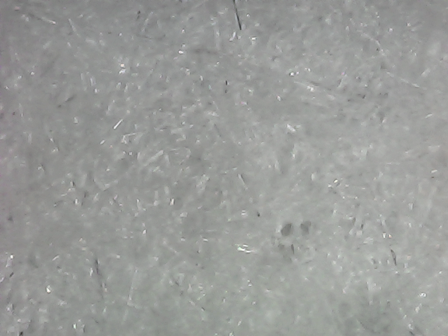 TPEE layer, 50× cross-section — uniform micropores