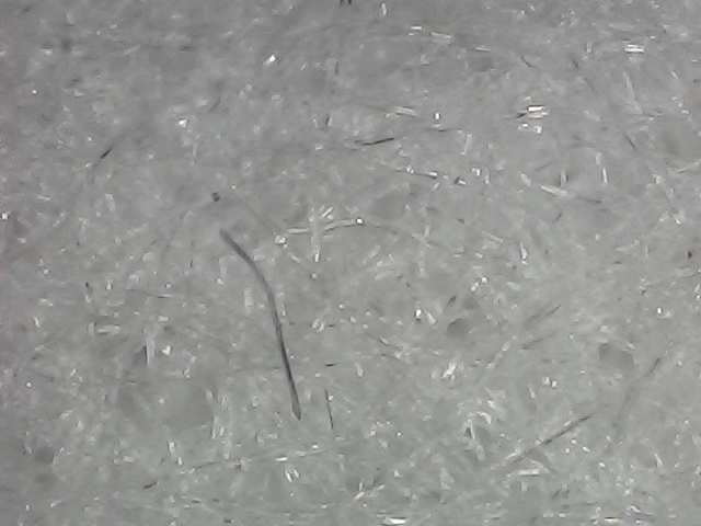Bond interface — seamless adhesion zone